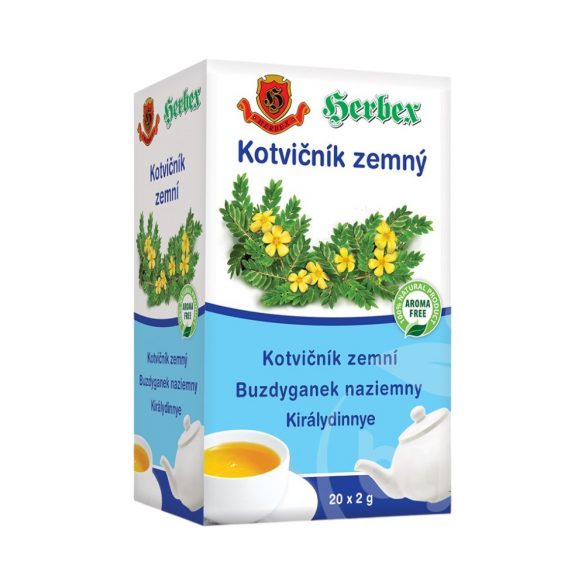 Herbex királydinnye tea 20x2g 40g